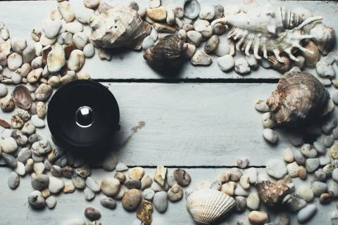 Musical dynamics and shells Stock Photos