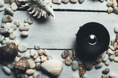 Musical dynamics and shells Stock Photos