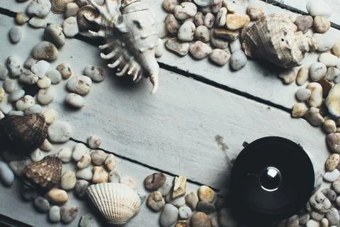 Musical dynamics and shells 写真素材