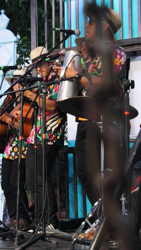 A musical group playing at an event Stock Footage 312834269