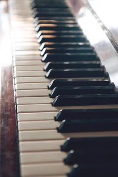 Musical instrument in the rays of the sun. Side view Stock Photos