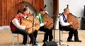 Musical quartet HD Footage