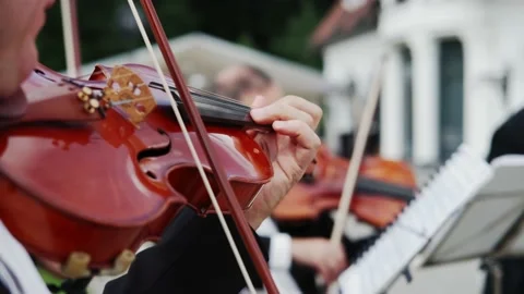 Musical quartet three violinist playing outdoor. Close up Stock Footage 162455110