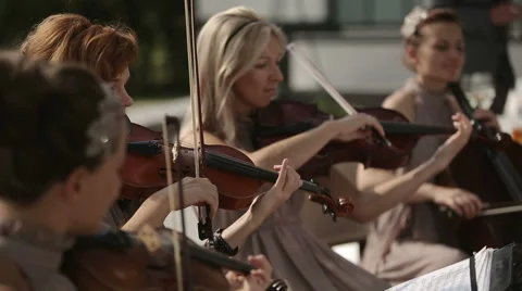 Musical quartet. Three violinists and cellist playing music. Close up. Stock Footage 41290694