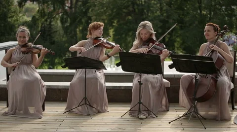 Musical quartet. Three violinists and cellist playing music. Long shot. Stock Footage 41291287
