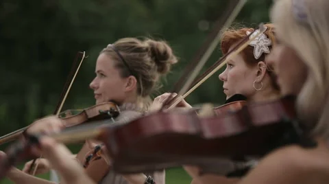 Musical quartet. Three violinists and cellist playing music. Close up. Stock Footage 41292435