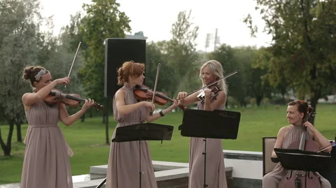 Musical quartet. Three violinists and cellist playing music. Medium shot. Stock Footage 41293050