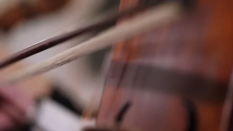 The musican plays the violin 4 Stock-Footage 311337412