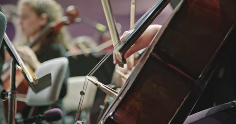 Musician playing Cello during a classical music rehearsal before a concert Stock Footage 113219970