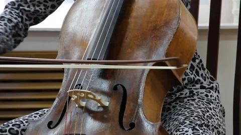 Musician playing the cello Stock Footage 49428547