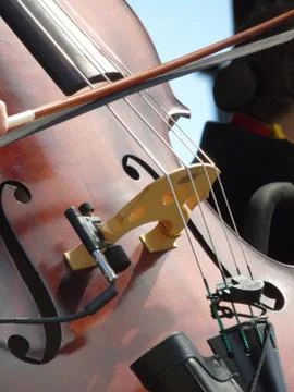 Musician playing Cello Stock Photos