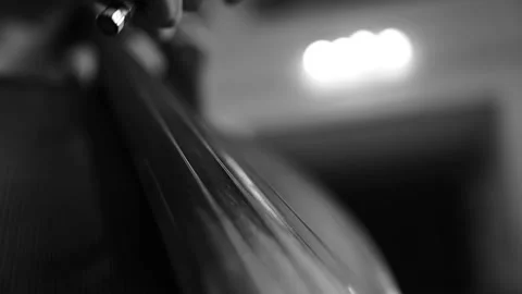 Musician playing cello strings with hands and bow Video stock 167881601
