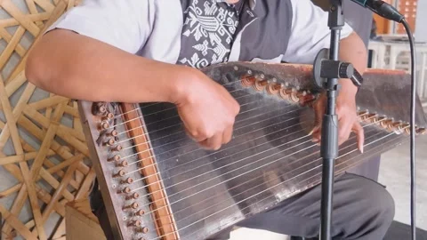 Musician playing traditional string instrument during a performance. Video stock 343408935