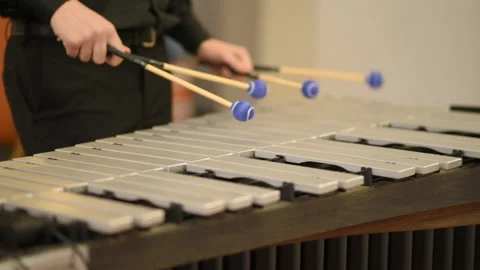 Musician playing vibraphone 스톡 동영상 100634246
