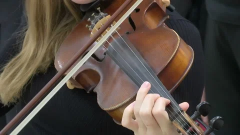 Musician Playing Violin Stock Footage 322533471