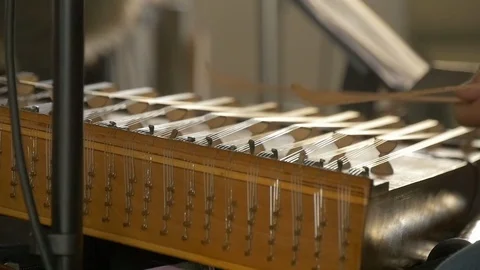 A musician plays cimbalom 動画素材 119596953
