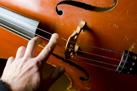 Musician Touching Strings 写真素材