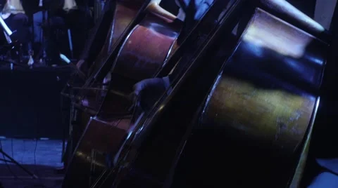 Musicians Are Playing in Orchestra Double Bass Section is Synchronously Playing Stock Footage 60228071