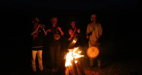 Musicians at Campfire rural area Stock Footage 326987852