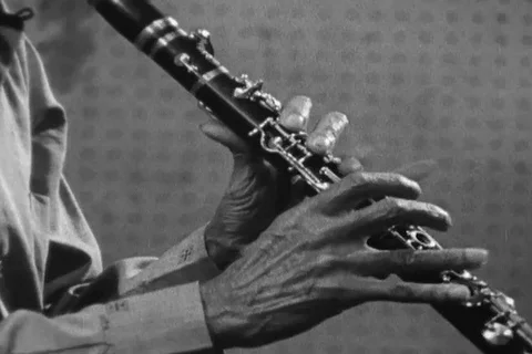 Musicians performs jazz music at Preservation Hall at Bourbon Street - 1968 Stock Footage 116874660