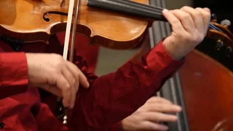 Musicians play the violin and double bass Stock Footage 107257576