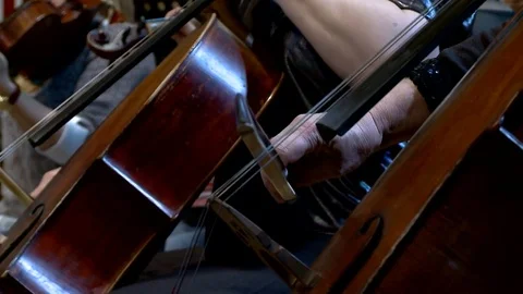 Musicians play violin instruments during the rehearsal of the symphony orchestra Stock Footage 73587261