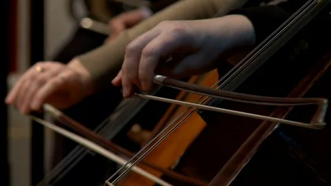 Musicians play violin instruments during the rehearsal of the symphony orchestra 스톡 동영상 73587561