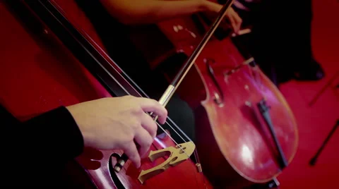 Musicians playing cello Stock Footage 62804610