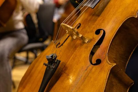 Musicians playing cellos during classical orchestra concert close up Stock Photos