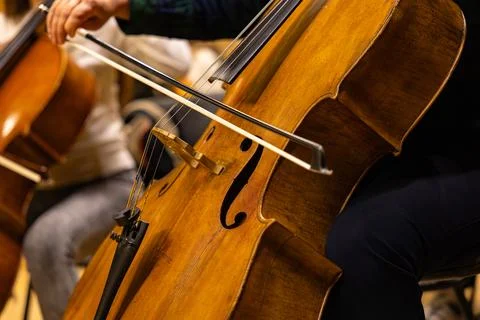Musicians playing cellos during classical orchestra concert close up Stock Photos