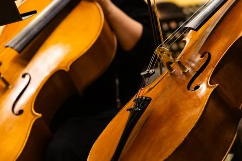 Musicians playing cellos during classical orchestra concert close up Stock Photos