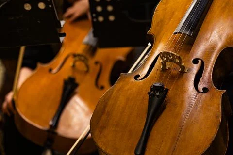 Musicians playing cellos during classical orchestra concert close up Stock Photos