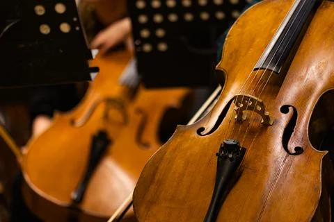 Musicians playing cellos during classical orchestra concert close up Stock Photos