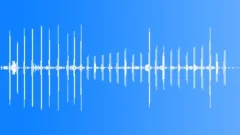 Musk Duck SoundsSound Effect