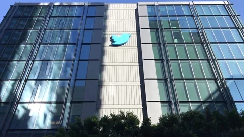 Musk jokes about Twitter's future as hundreds of employees quit, US, US - 19 Nov Video stock 221594426