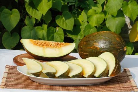 Musk melon 스톡 사진