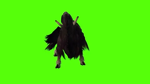MuskCow Attack Green Screen Animation 4K Rendering Video stock 281393247