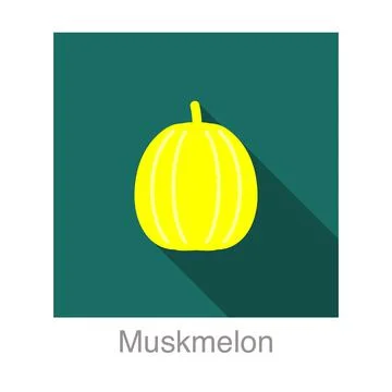 Muskmelon fruit flat icon, vector illustration Stock Illustration