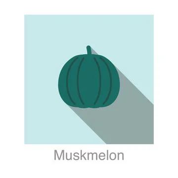 Muskmelon fruit flat icon, vector illustration Stock Illustration