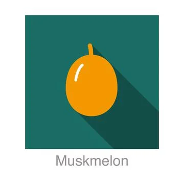 Muskmelon fruit flat icon, vector illustration Stock Illustration