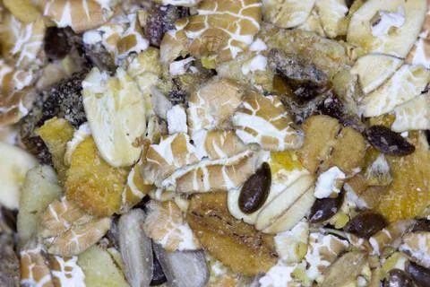 Musli closeup Stock Photos