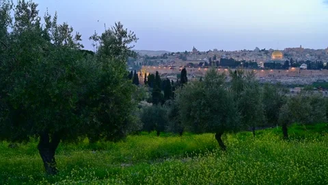 Muslim call to prayer with view of Jerusalem; 4K Stock Footage 151522988