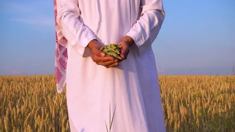 Muslim hands with spikelets of wheat. Stock Footage 199643863