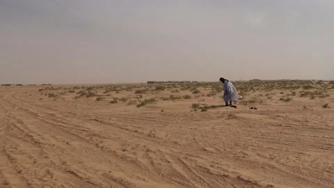 Muslim prayer on the way to the Banc of Arguin, Mauritania Vídeo Stock 147184954
