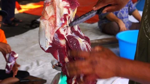 Muslims help each other prepare halal slaughtering during Eid Al-Adha Al Mubarak Stock Footage 104117201