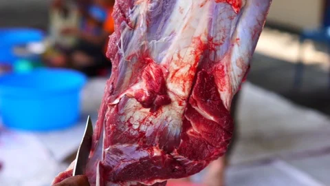 Muslims help each other prepare halal slaughtering during Eid Al-Adha Al Mubarak Stock Footage 104117224