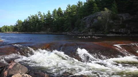 Musquash river Stock Footage 4282383