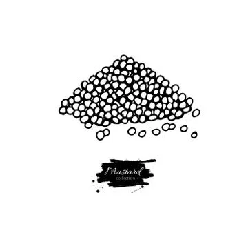 Musrard seed heap vector drawing. Hand drawn seasoning pile. Food condiment Ilustración de archivo