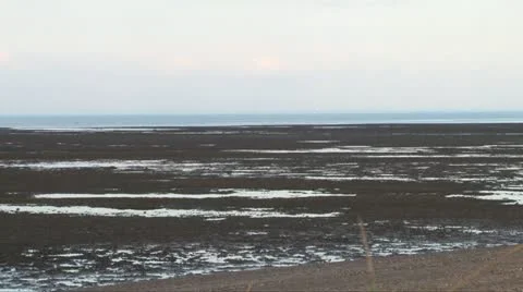 Mussel Beds Stock Footage 10885432