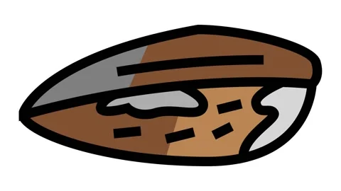 Mussel closed shell color icon animation Video stock 225046583